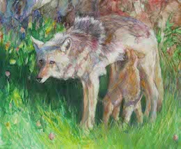 Coyote painting by Gwen Sylvester