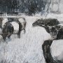 Galloways By the Bay 10x20