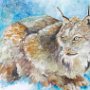 Canada Lynx, 23 x 30 Watercolor, Polymer