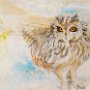 Short Eared Owl, 23 x 30 Watercolor, Polymer